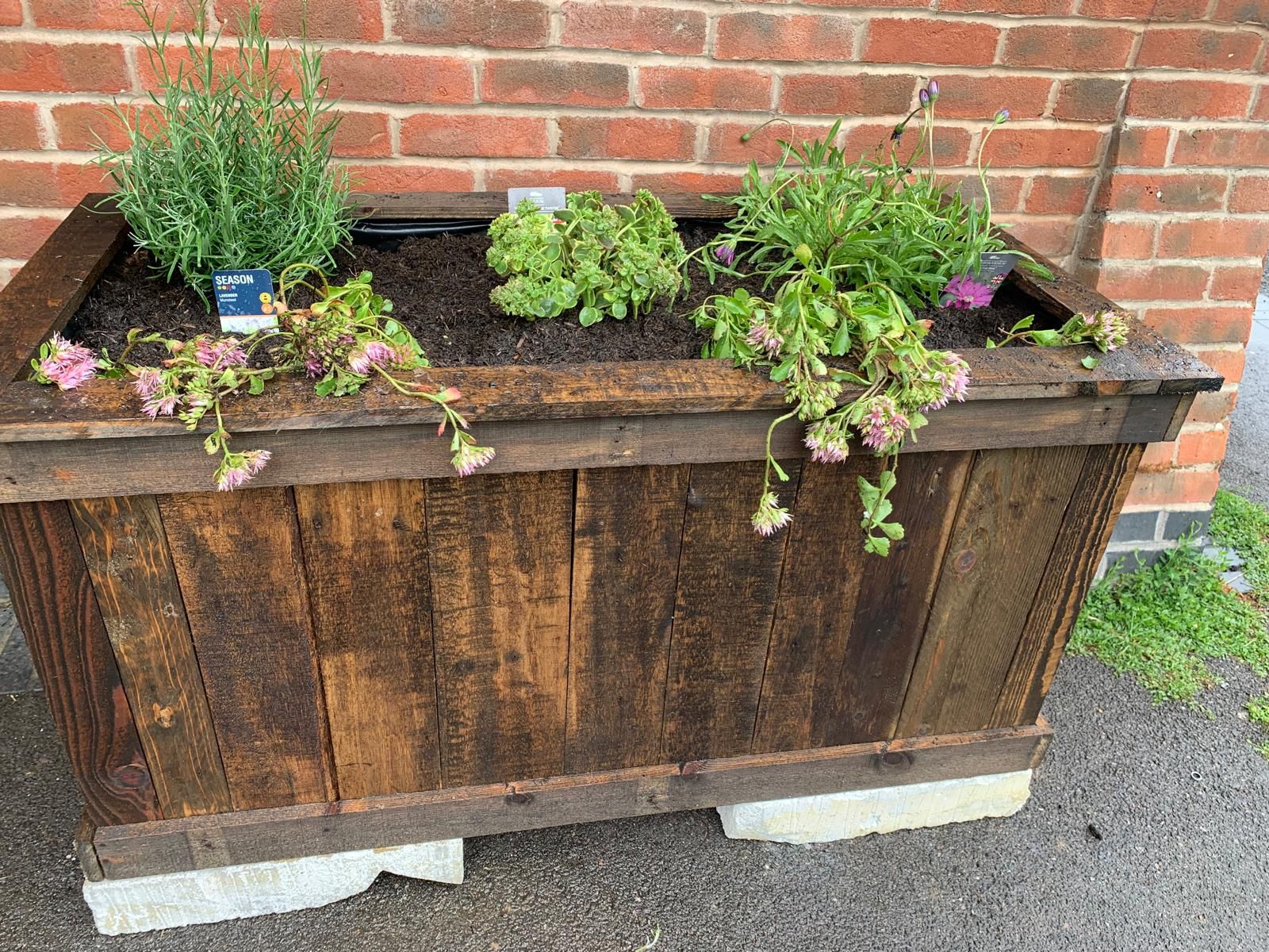 Flower Boxes, July 2024