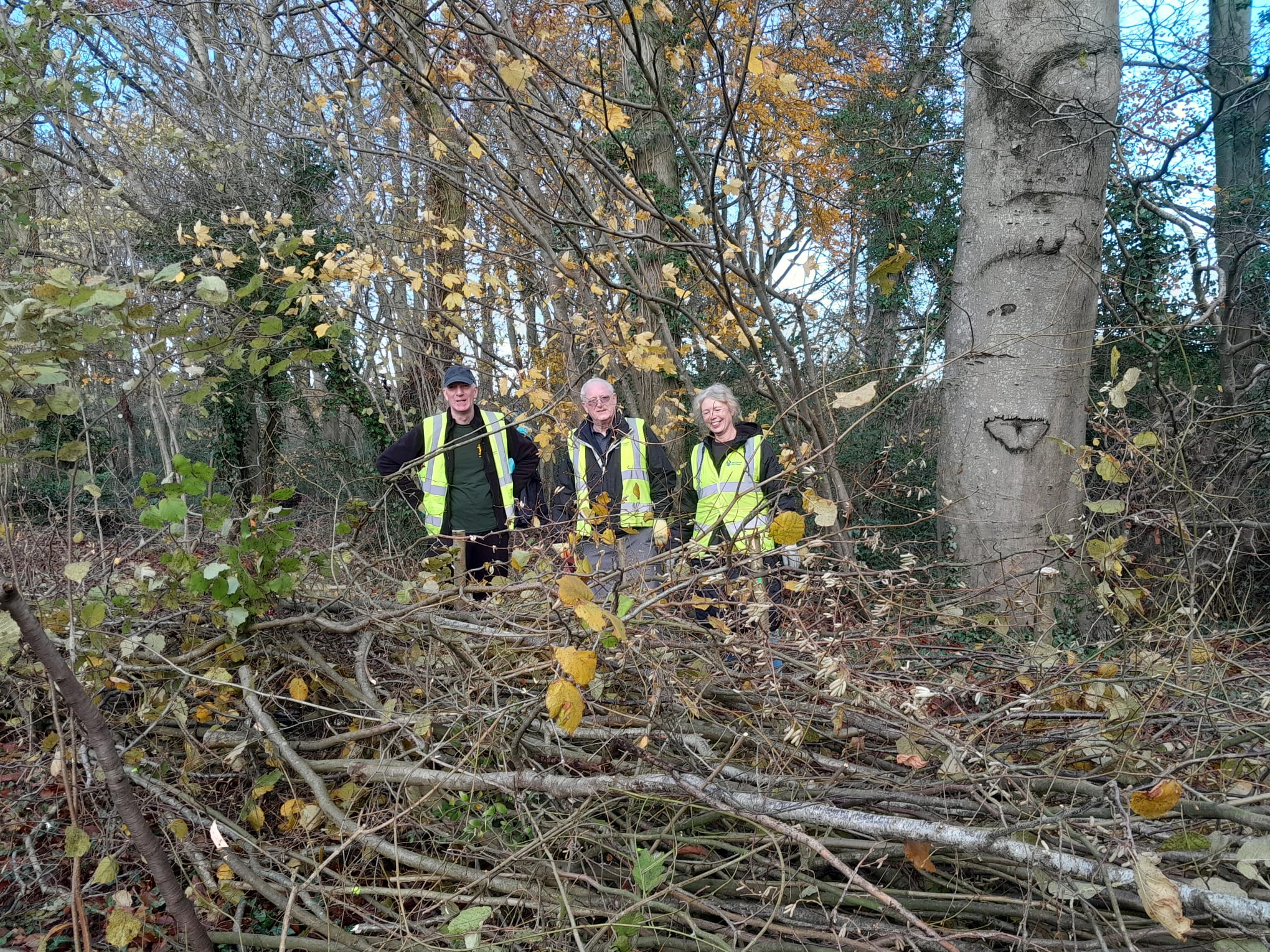 Working Party, December 2025