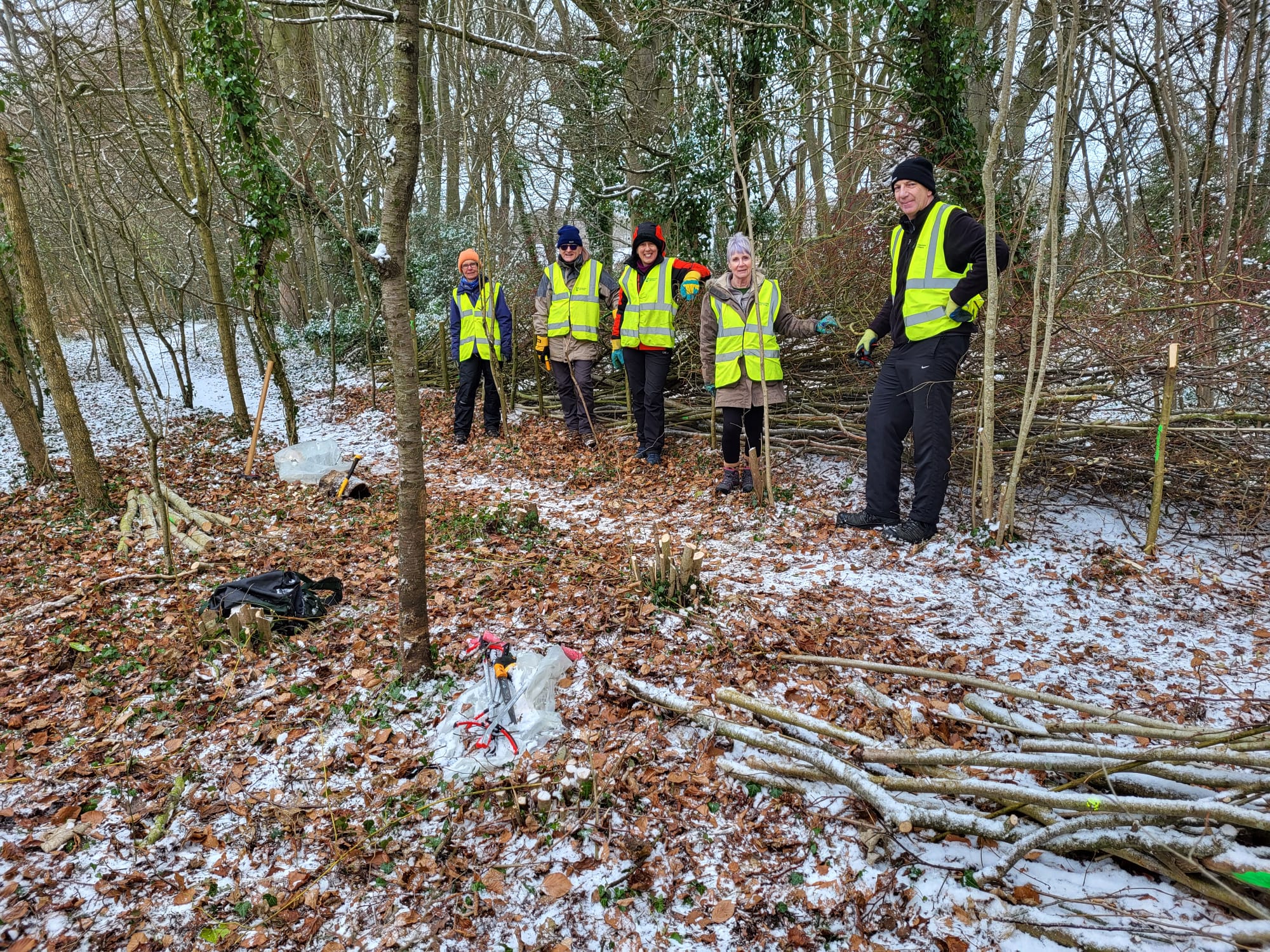 Working Party, January 2026