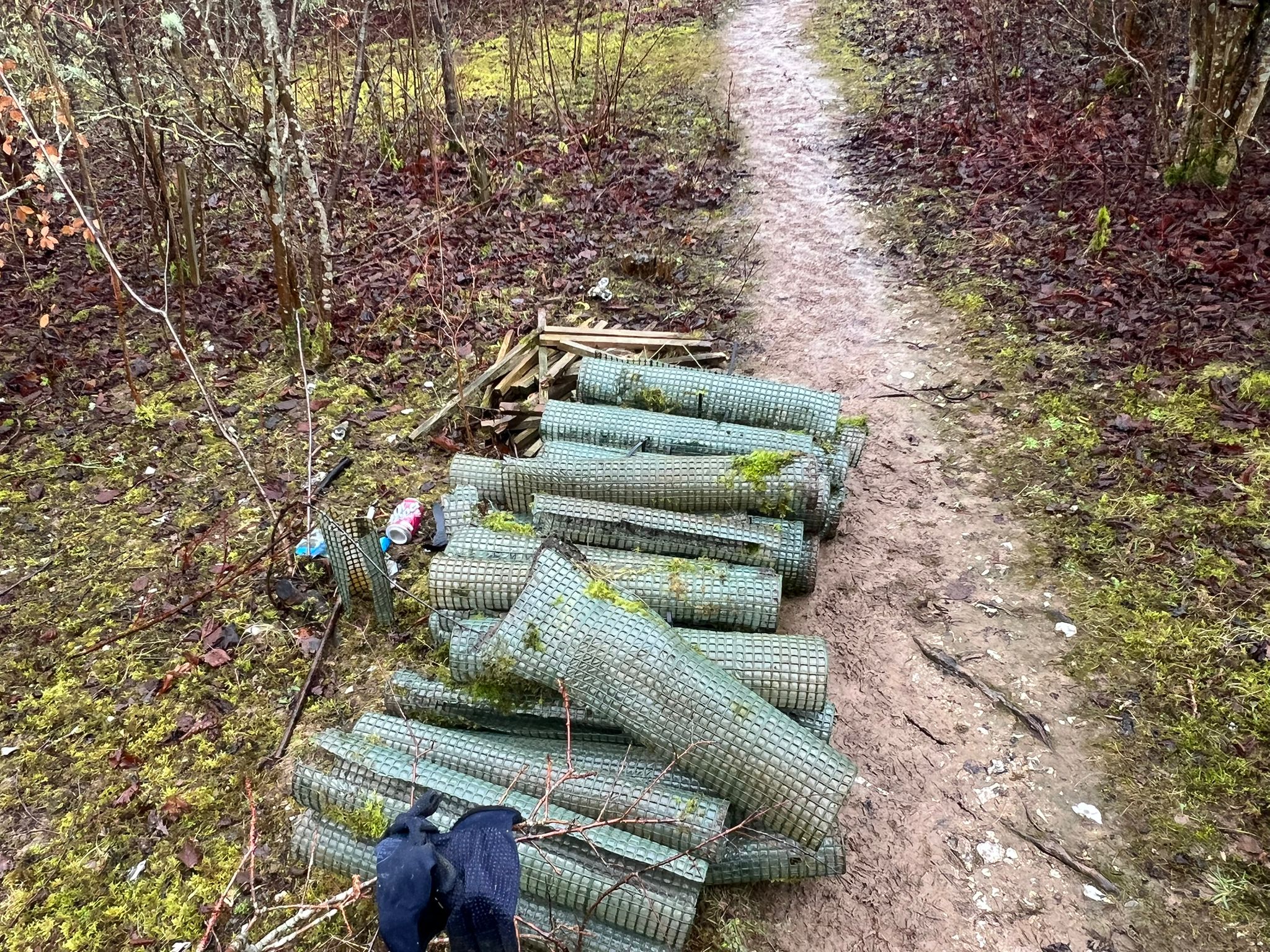 Working Party, February 2026